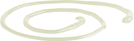 Garlic Aioli