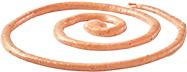 Tomato Spread